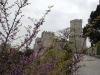 erice-castello-del-balio03